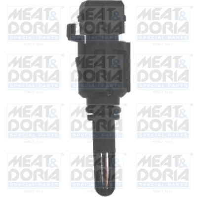 Sensor, intake air temperature